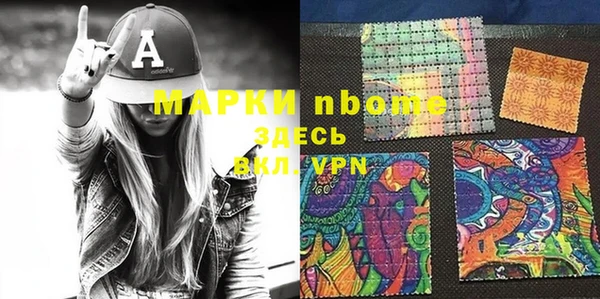 шишки Белоозёрский