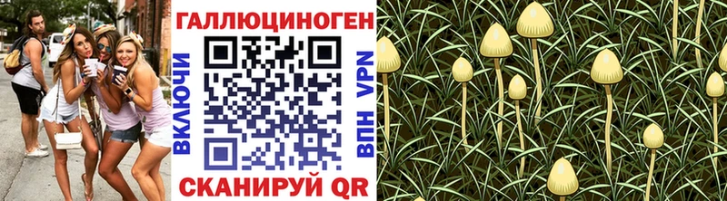 ОМГ ОМГ как зайти  Разумное  Галлюциногенные грибы GOLDEN TEACHER 