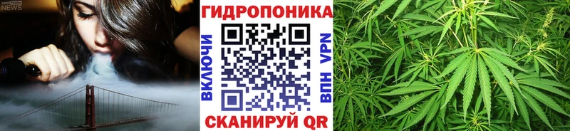 мориарти официальный сайт  Разумное  МАРИХУАНА OG Kush 
